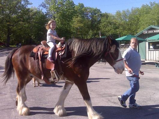 Horseback Riding Wisconsin Dells Fun.... Horseback Riding Wisconsin Dells Fun....